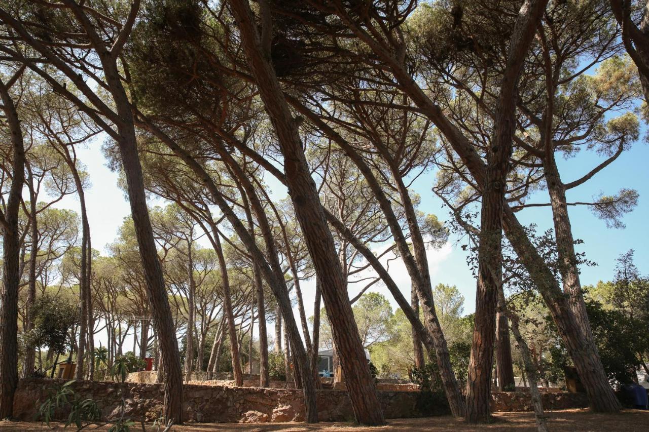 Camping 3 Estrellas Costa Brava Vall-Llobrega Extérieur photo